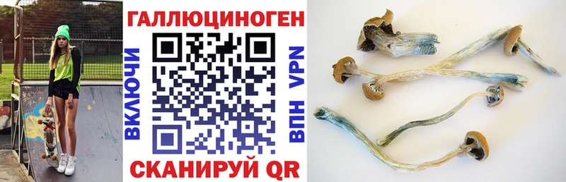 Псилоцибиновые грибы MAGIC MUSHROOMS  Ликино-Дулёво 